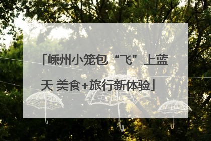 嵊州小笼包“飞”上蓝天 美食+旅行新体验